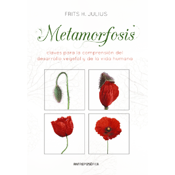 Metamorfosis