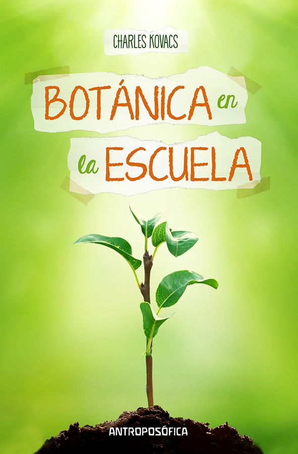 Botánica en la escuela
