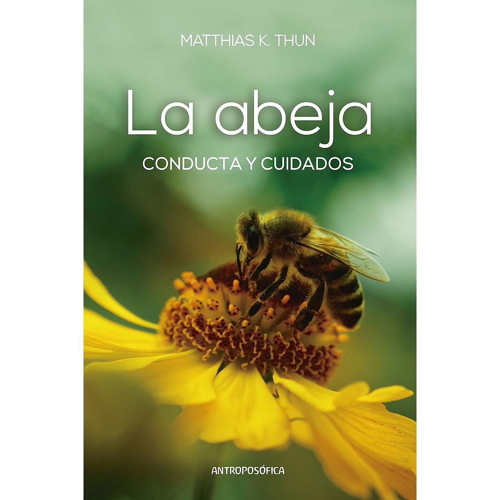 Abeja, la conducta y cuidados