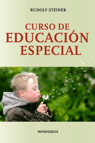 Curso de educación especial